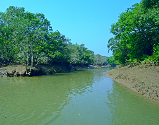 Bhitarkanika Tour