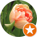 Siva Puvvada profile picture